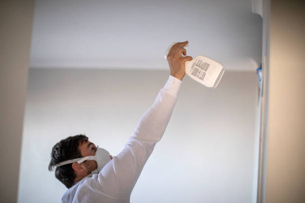Best Mold Damage Repair  in Druid Hills, GA