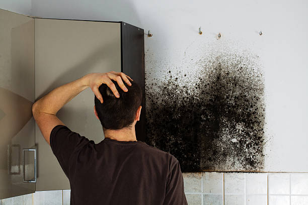 Best Crawl Space Mold Removal  in Druid Hills, GA